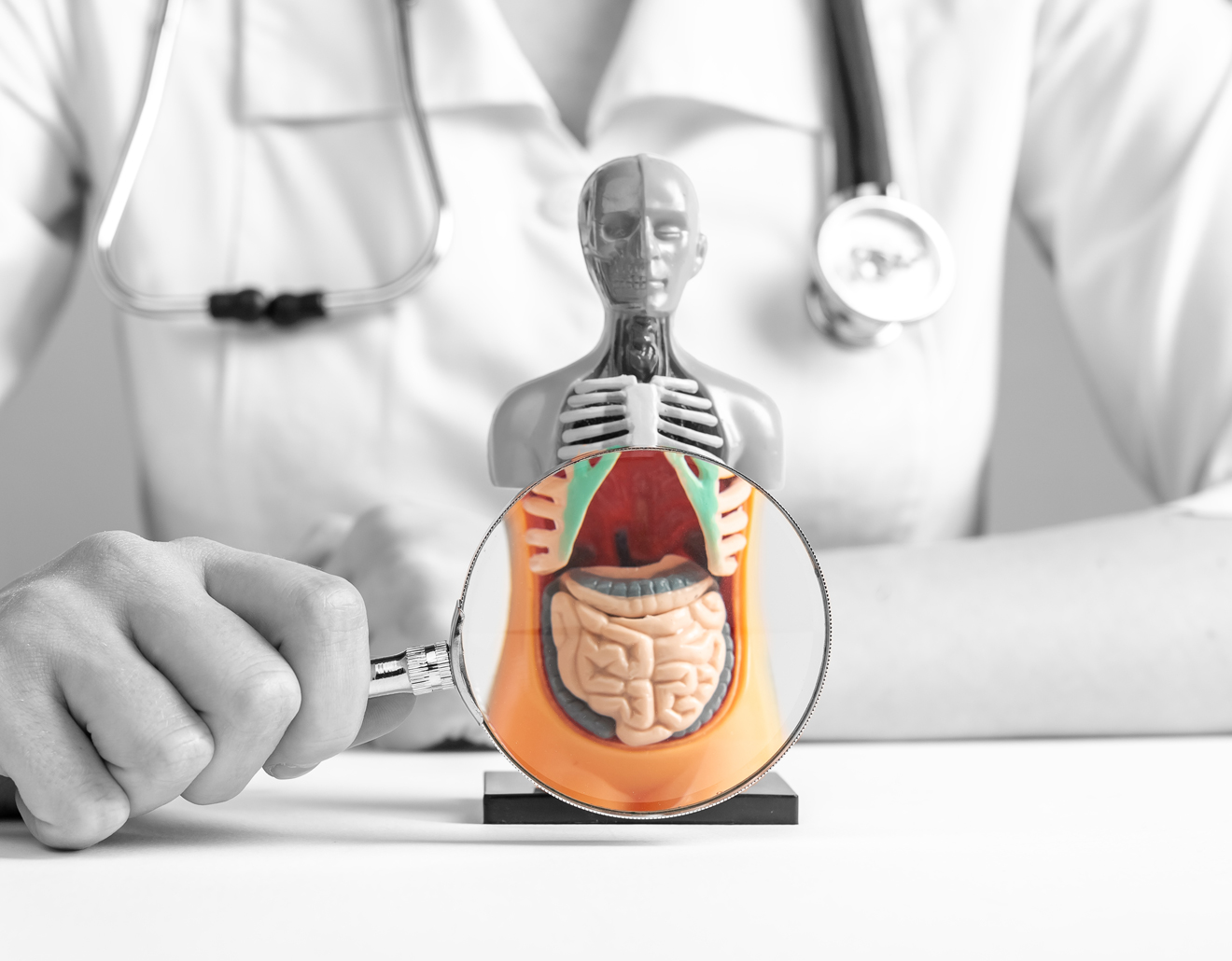 Beste Viszeralchirurgen in Augsburg